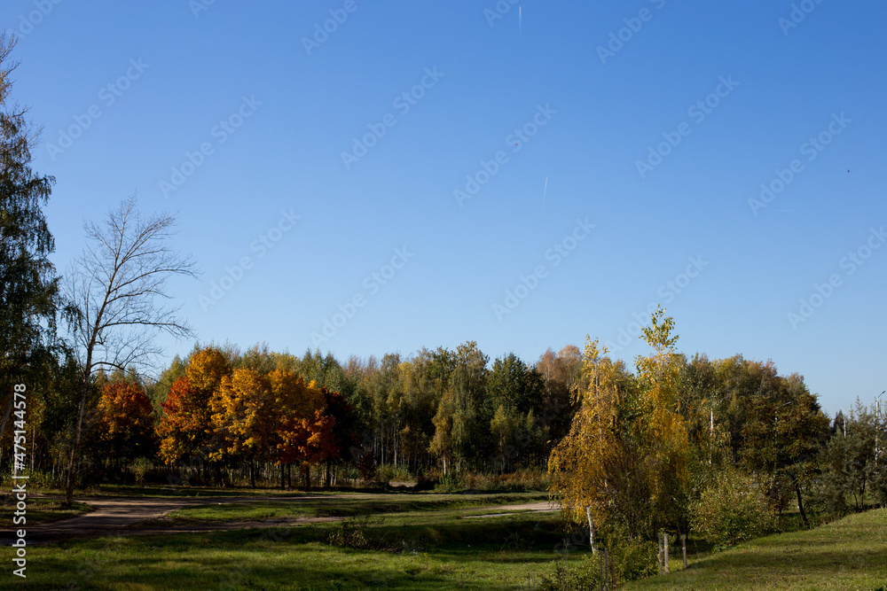 Autumn park and forest under clear clear sky