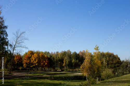 Autumn park and forest under clear clear sky