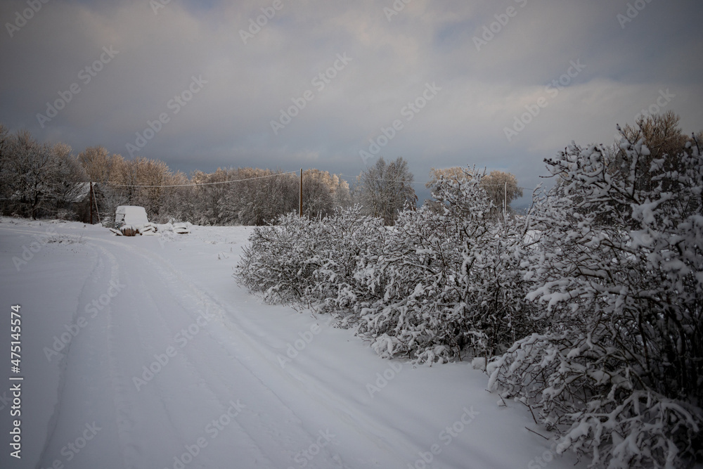 drive way to country house in winter time, snow covered everything