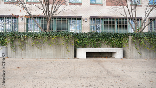Bench with overgrown wall in the city