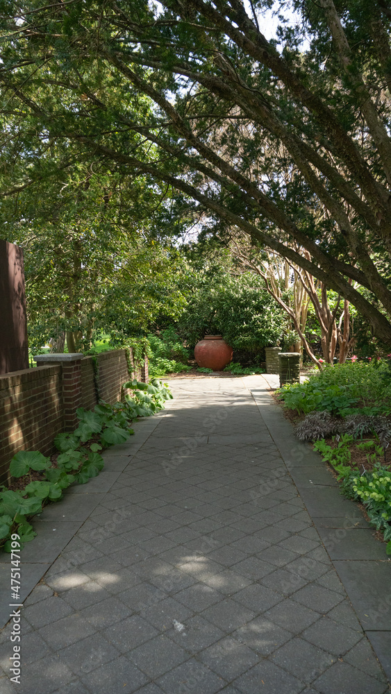 Tunnel of trees in a garden