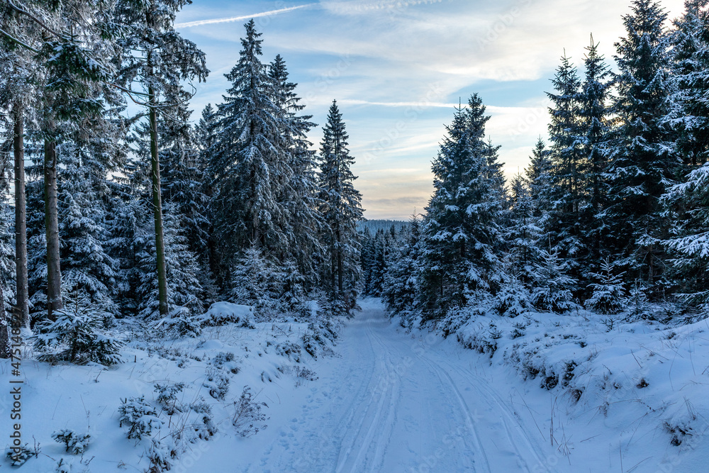 Fototapeta premium Erste Winterwanderung auf dem Rennsteig bei schönstem Sonnenuntergang - Deutschland