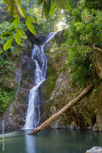 waterfall in the Jungle
