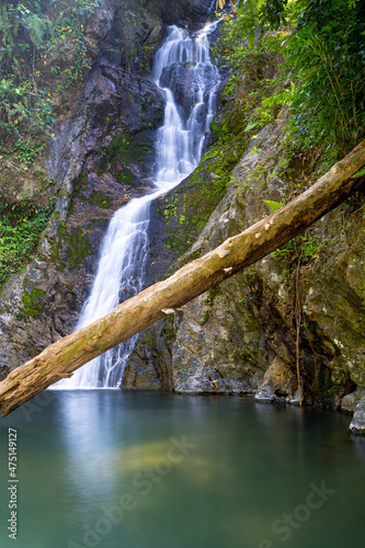 waterfall in the forest