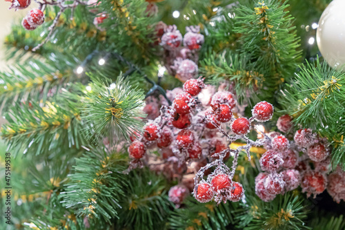 Snow-covered red berries on a Christmas tree.