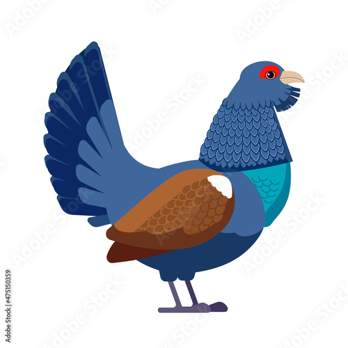 Tetrao urogallus or Capercaillie side view. Wild forest bird. Pheasant Eurasian wood grouse, heather cock Bird Cartoon flat style character of ornithology, vector illustration isolated on white