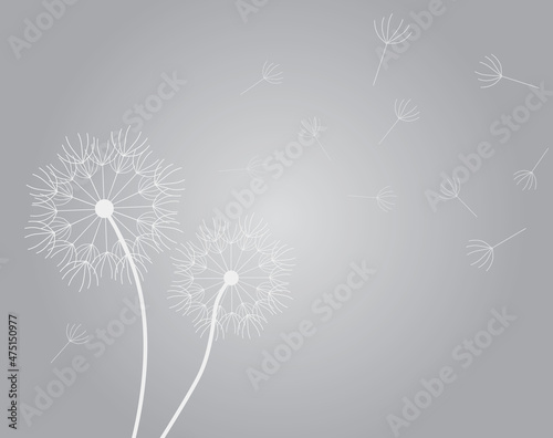 grey dandelion pattern, obituary, funral, loss background - vector illustration