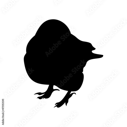 Black silhouette of jackdaw isolated on white background