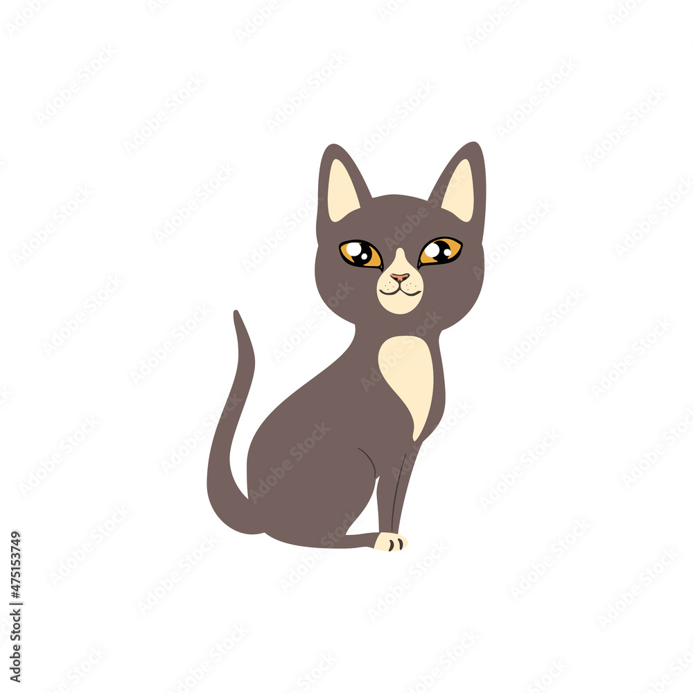 Flat illustration of cat isolated on whte background