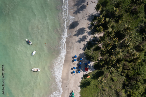 aerial image with drone of beach and coconut tree in Brazil