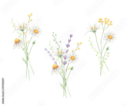 Daisy watercolor arrangements summer bouquets isolated on white background. Wildflowers compositions. 