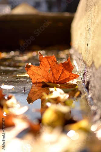 El Otoño