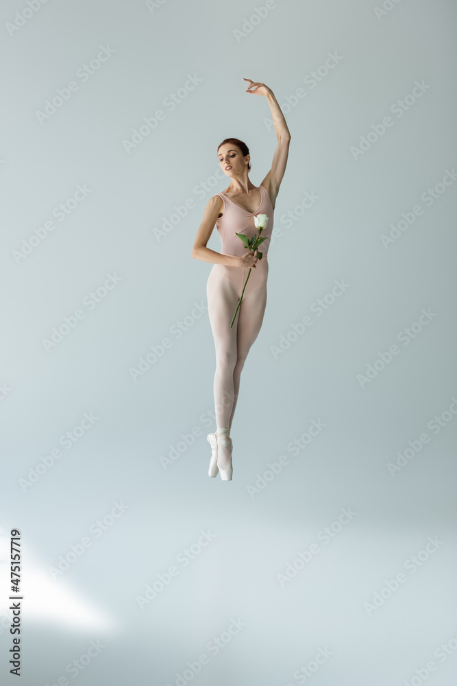 full length of young ballerina in bodysuit holding rose and levitating on grey