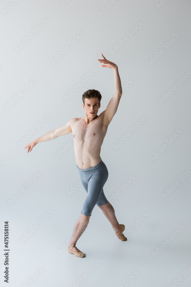 full length of elegant ballet dancer performing ballet dance isolated on grey full length of elegant ballet dancer performing ballet dance isolated on grey