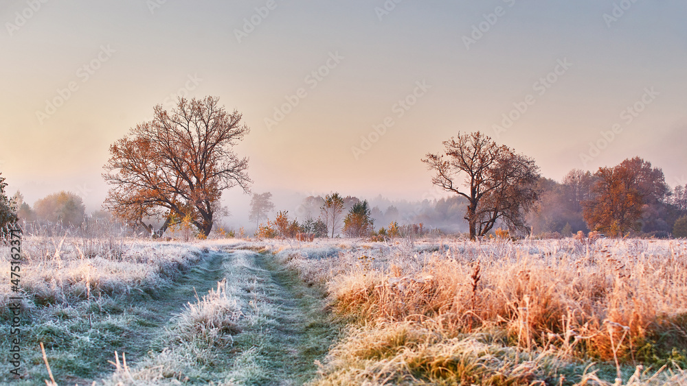 Grass covered with white frost in early morning panorama. Dirt road on field, oak tree with orange leaves. Season change from autumn to winter