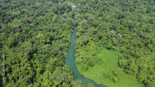 Selva Lacandona photo
