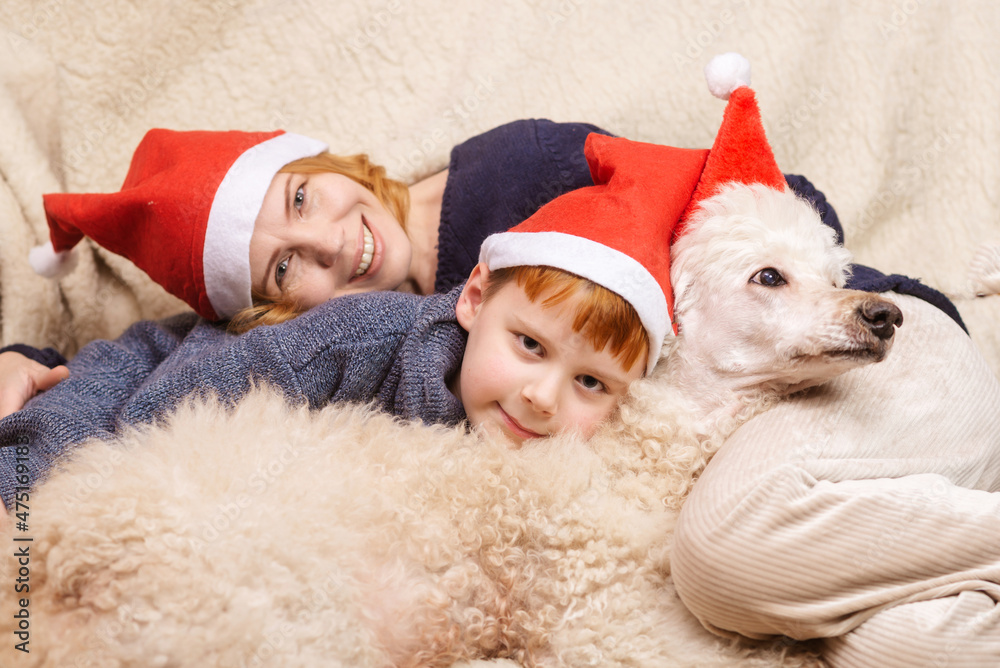 Obraz premium Mom, son and dog in New Year's hats are smiling during the Christmas holidays. Happy family having fun.