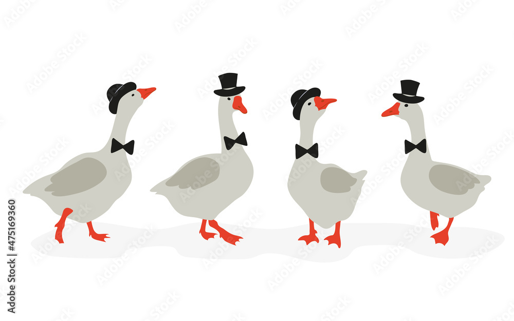 Cute cartoon geese gentlemen set.  Vector illustration of funny goose.