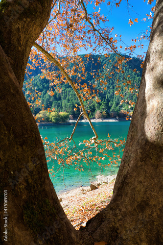 beautiful autumn landscape on a lake with colorful leaves, autumn colors, Lake Tsivlou . Greece photo