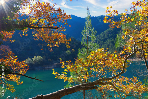 beautiful autumn landscape on a lake with colorful leaves, autumn colors, Lake Tsivlou. Greece. photo