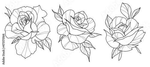 3 tattoo rose outlines black and white line art vector photo