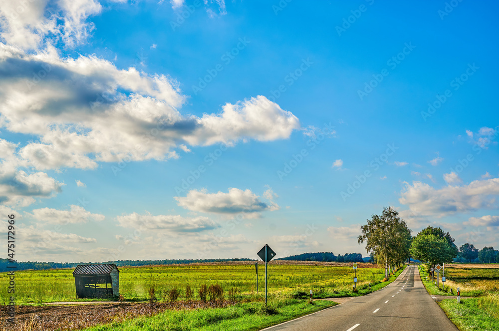 Fototapeta premium Sunny landscape with blue sky and clouds in Germany, through which a tree-lined country road leads.