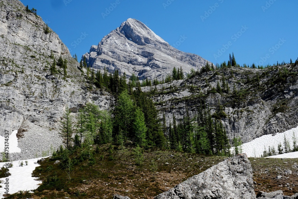 Hiking at Ribbon Creek view towards Ribbon Peak at Kananaskis Canada