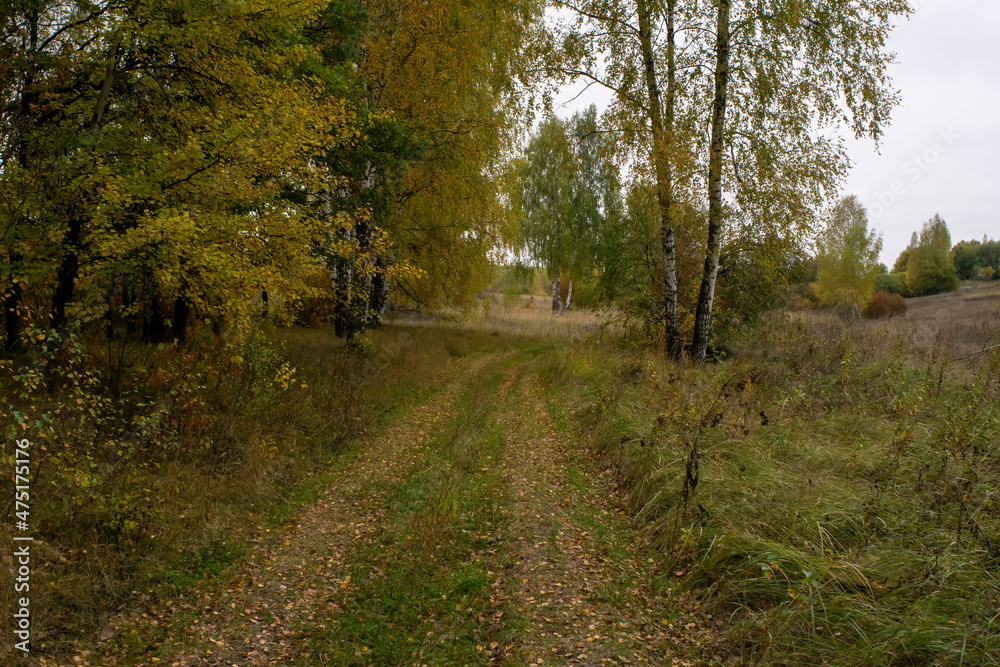 Obraz premium landscape on a cloudy autumn day