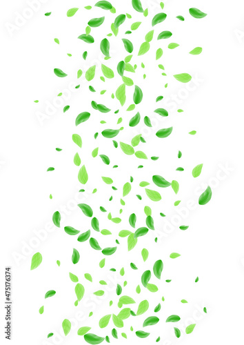 Greenish Foliage Background White Vector. Vegetation Twig Design. Eco Card. Green Light Illustration. Greenery Symbol.