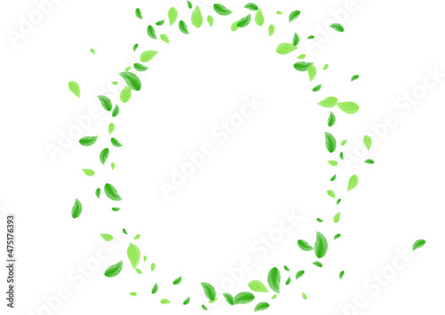 Greenish Leaf Background White Vector. Foliage Forest Frame. Simple Design. Light Green Space Card. Vegetation Cosmetic.