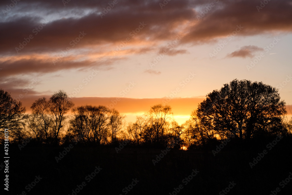 Winter sunset sky with trees in silhouette