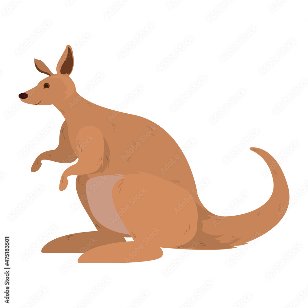 brown kangoroo illustration