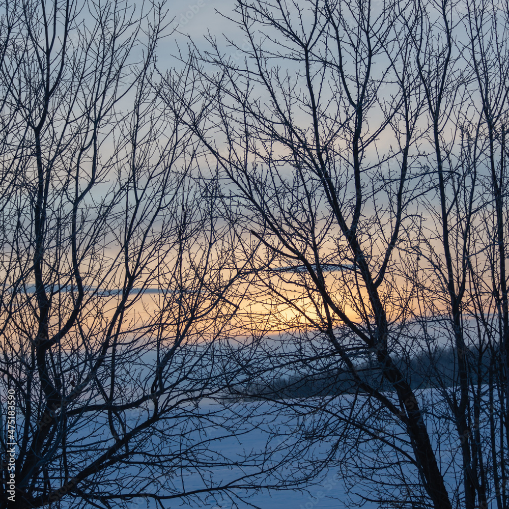 Branches of trees and a beautiful sunrise in the background. Branches of trees and a beautiful sunrise in the background.