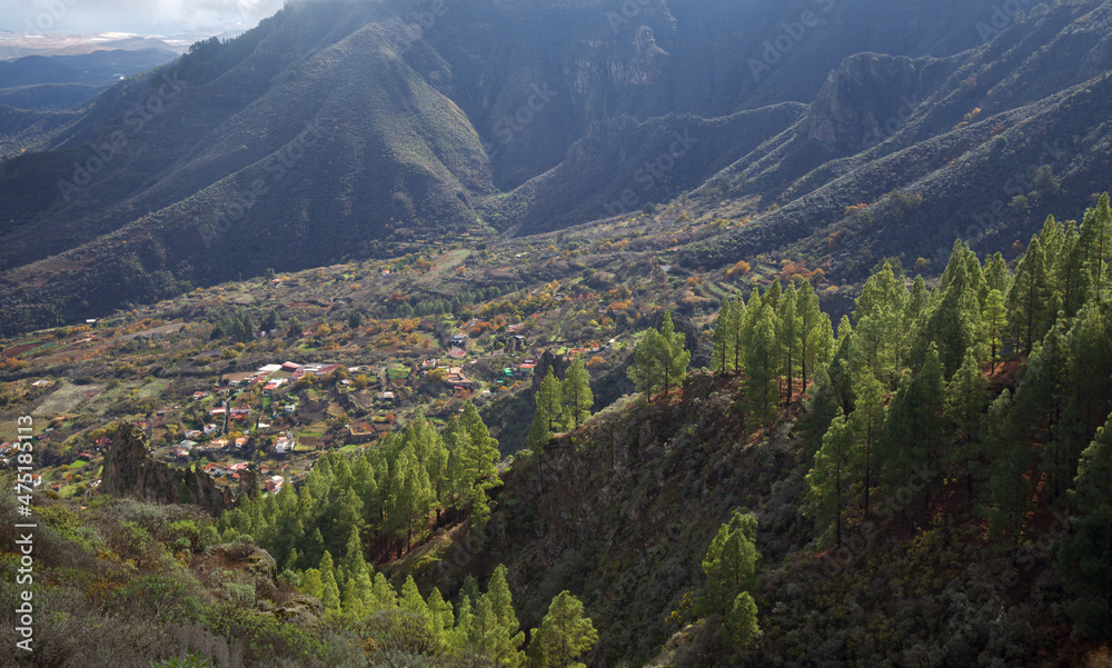 Gran Canaria, hiking route between Tenteniguada village in Valsequillo municipality and Pico de las Nieves, 
the highest point of the island, December