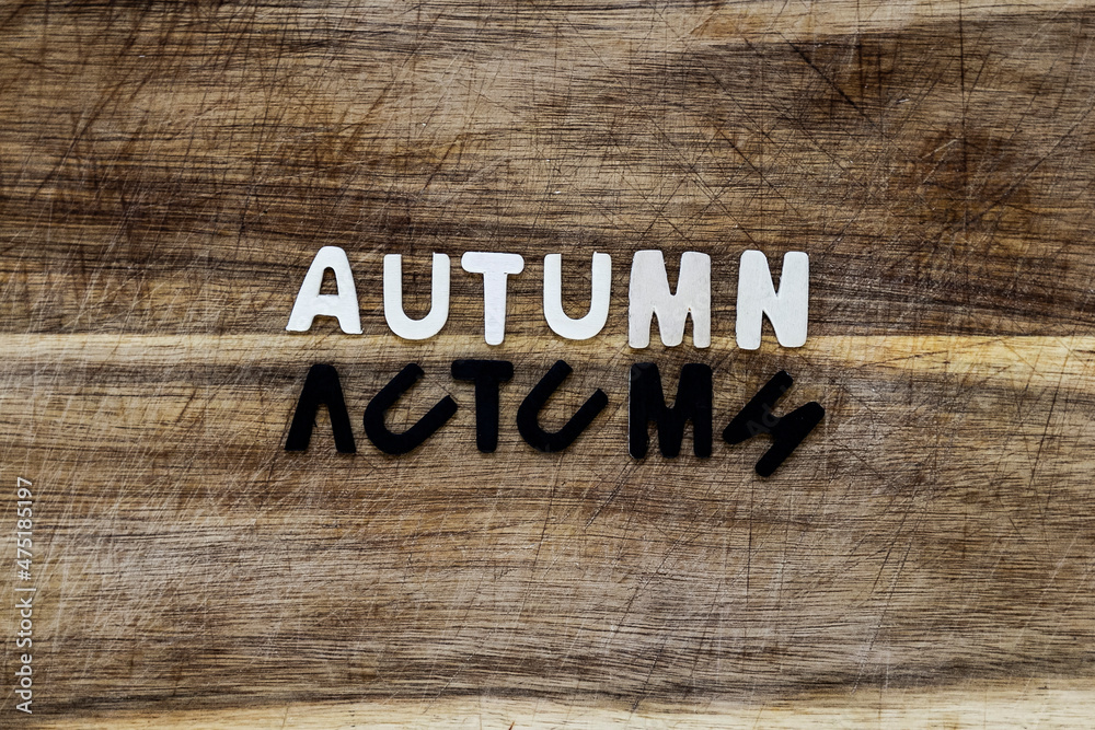 Naklejka premium autumn en letras