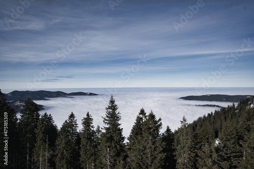 Dramatic fog in a winter landscape
