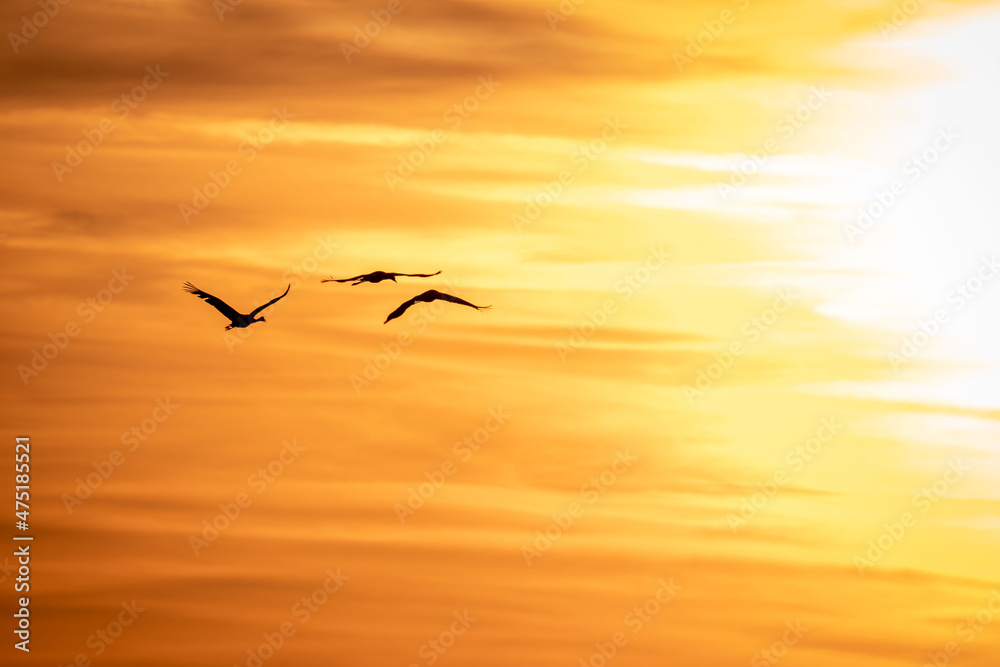 Obraz premium Sunset