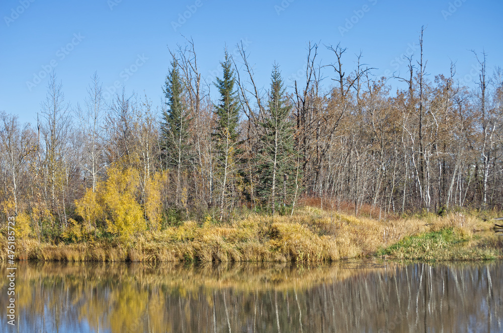 Pylypow Wetlands on a Clear Autumn Day Pylypow Wetlands on a Clear Autumn Day