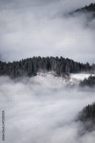 landscape with dramatic fog, forest and mountains in winter 