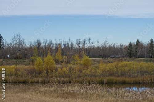 Pylypow Wetlands on a Cloudy Autumn Day