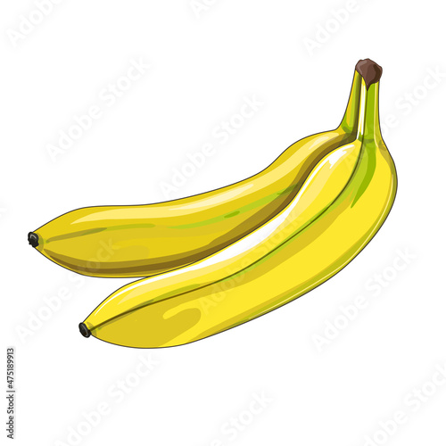 Set of two ripe yellow bananas. Tropical fruits in cartoon style. Stock vector illustration isolated on a white background.