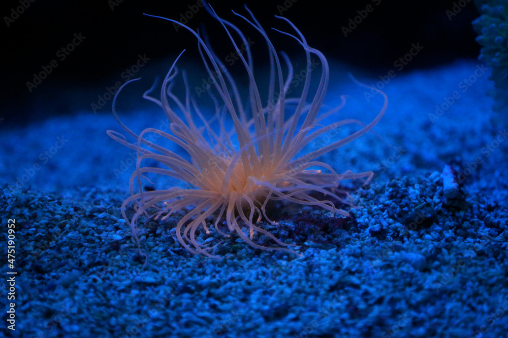 Aquarium. Aquarium.