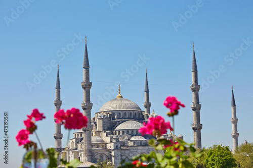 Canvas Print View of the Sultanahmet Blue Mosque from the roof of a building in Istanbul thro