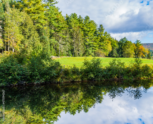 plants along the West River in the Village of Weston, Vermont are reflected in the calm water above the Mill waterfall 