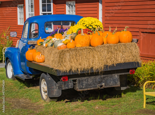 antique blue truck's bed filled with bales of hay and autumn fall decorations 
