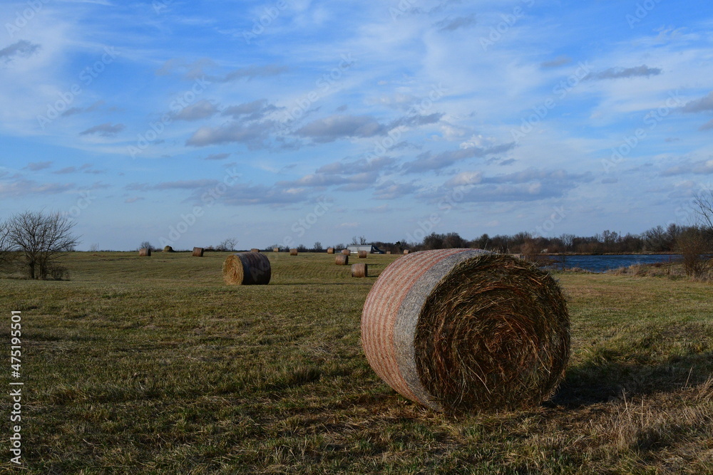 Hay Bales in a Farm Field Hay Bales in a Farm Field