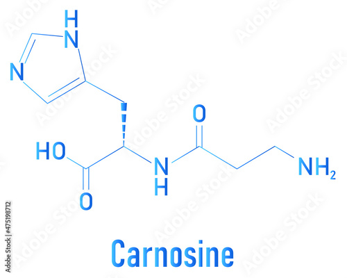 Carnosine or L-carnosine food supplement molecule. Skeletal formula.