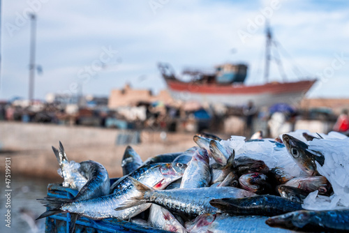 Foto Assortment of raw fish and seafood with ice for transport and sale at harbor, Cr