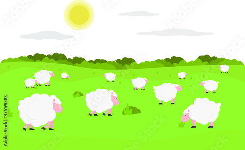 sheep on the meadow vector illustrations