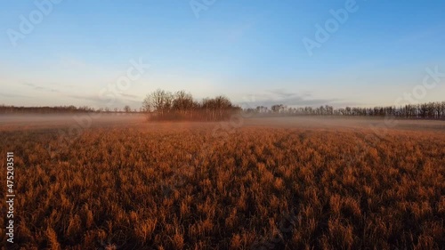 Drone camera descends on an autumn field in the countryside, aerial shot of yellow foggy field and trees on a sunny evening, Manitoba, Canada photo